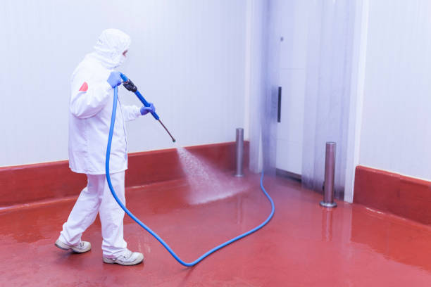 Best Patio and Deck Pressure Washing  in Bear Creek, FL